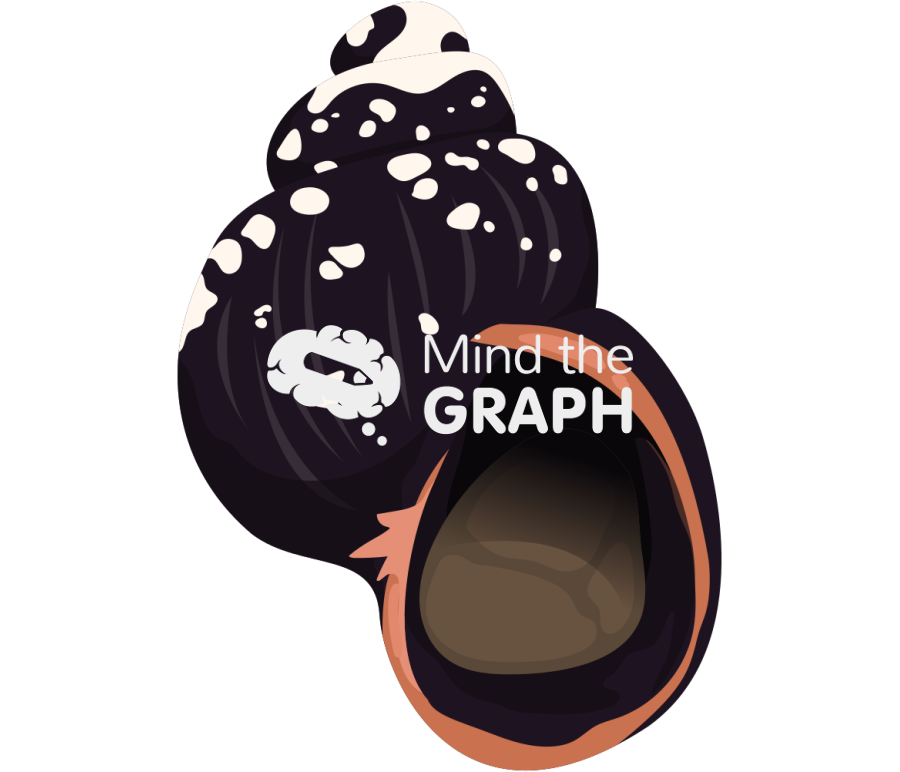 Laevilitorina caliginosa l4 Icons, Symbols, Pictures, and Images