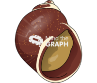 Laevilitorina moringa Icons, Symbols, Pictures, and Images