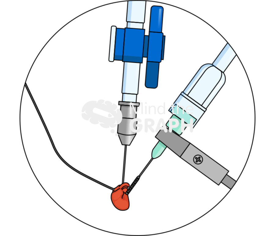 Langendorff cannula heart zoom Icons, Symbols, Pictures, and Images