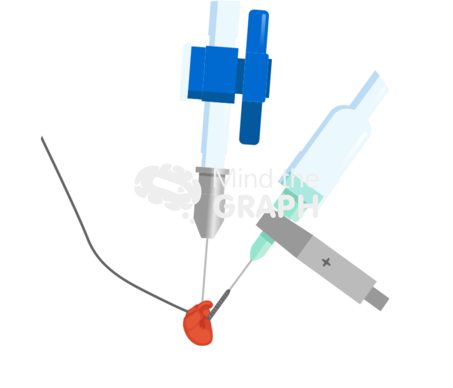 Langendorff cannula heart zoom Icons, Symbols, Pictures, and Images