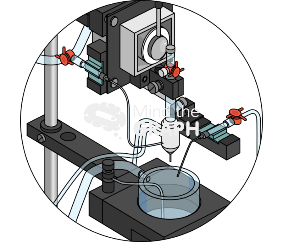 Langendorff system zoom Icons, Symbols, Pictures, and Images