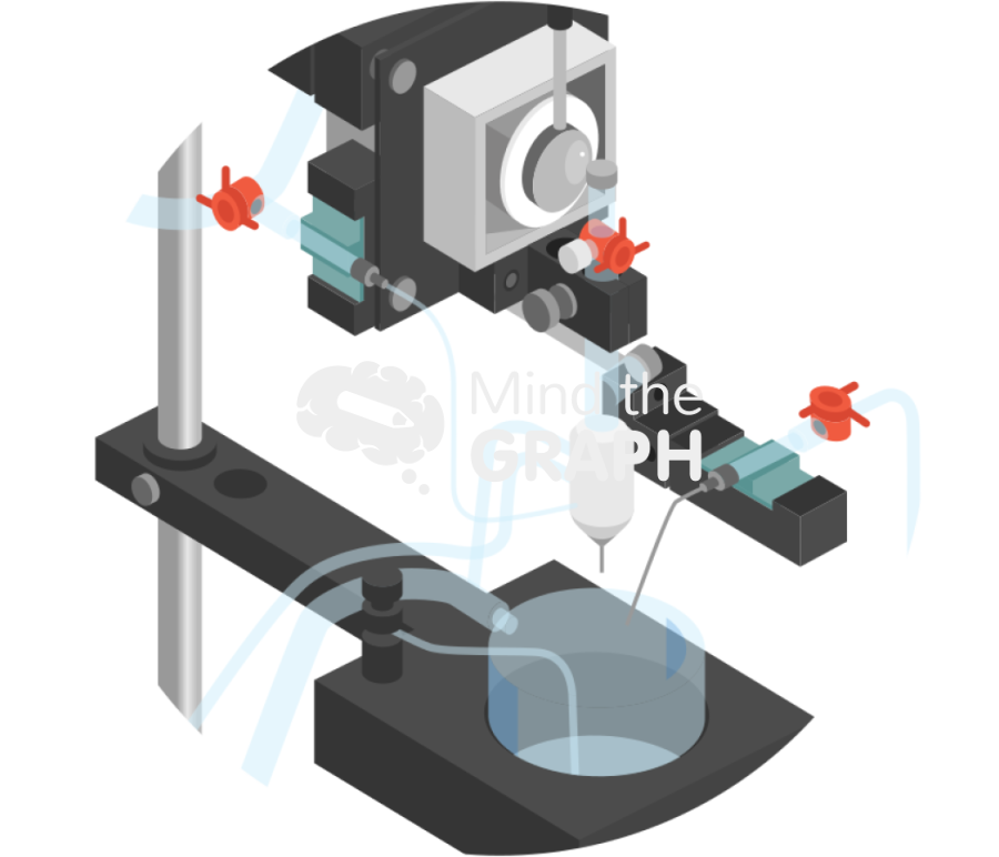 Langendorff system zoom Icons, Symbols, Pictures, and Images