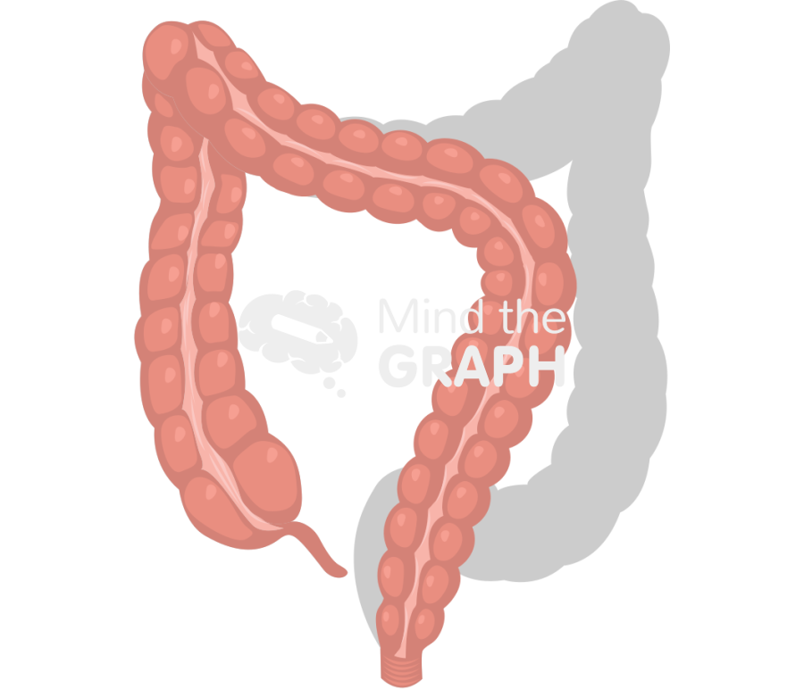 Large intestine low anterior resection shape front Icons, Symbols, Pictures, and Images