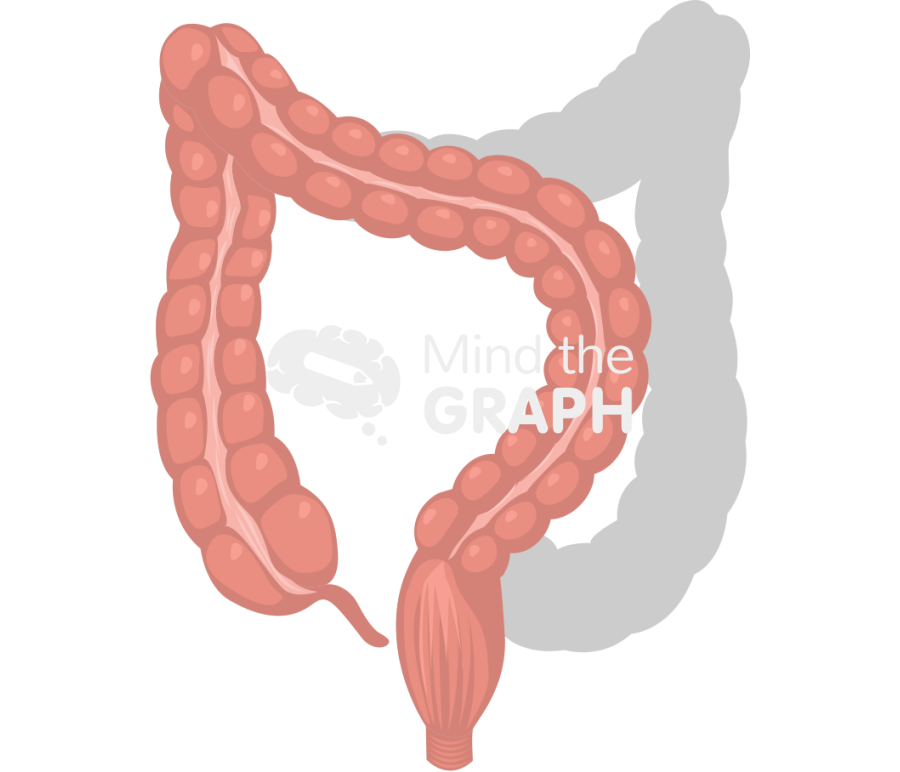 Large intestine sigmoid colectomy shape front Icons, Symbols, Pictures, and Images