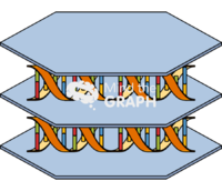 Layered double hydroxide dna Icons, Symbols, Pictures, and Images
