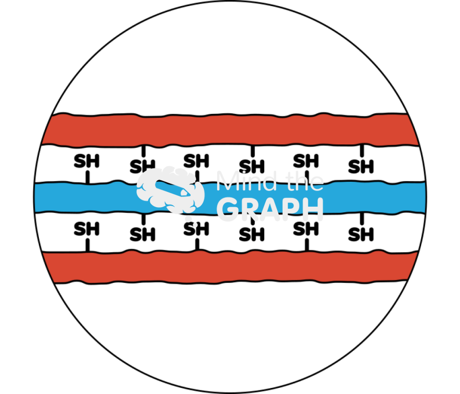Layers compound free sh zoom Icons, Symbols, Pictures, and Images
