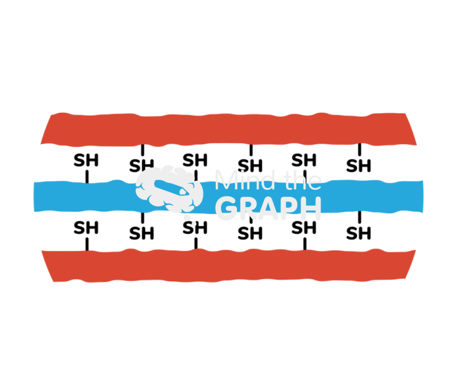 Layers compound free sh zoom Icons, Symbols, Pictures, and Images