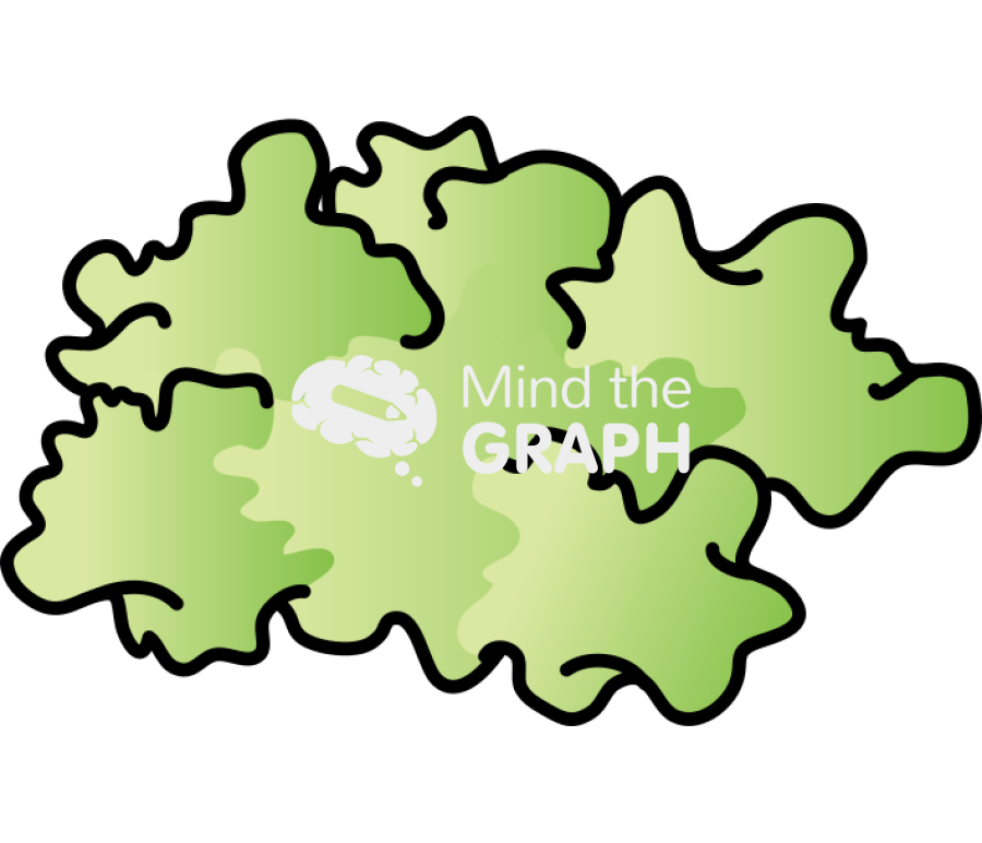 Leaf callus 1 Icons, Symbols, Pictures, and Images