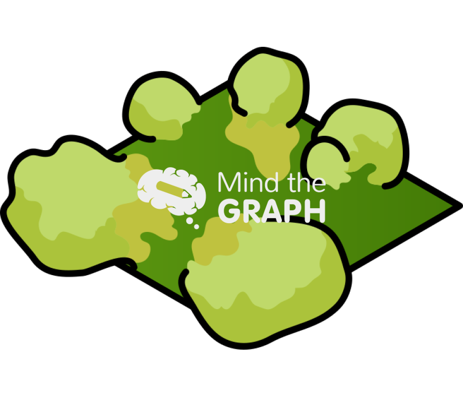 Leaf callus 4 Icons, Symbols, Pictures, and Images