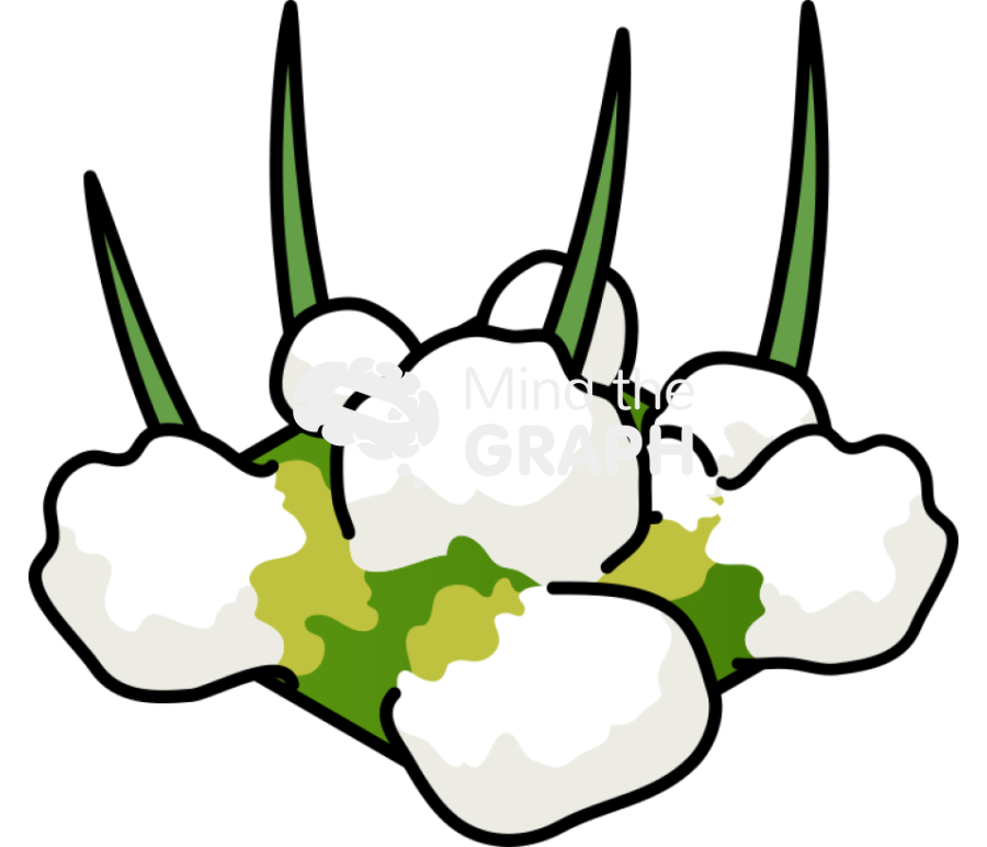 Leaf shoot form 3 Icons, Symbols, Pictures, and Images