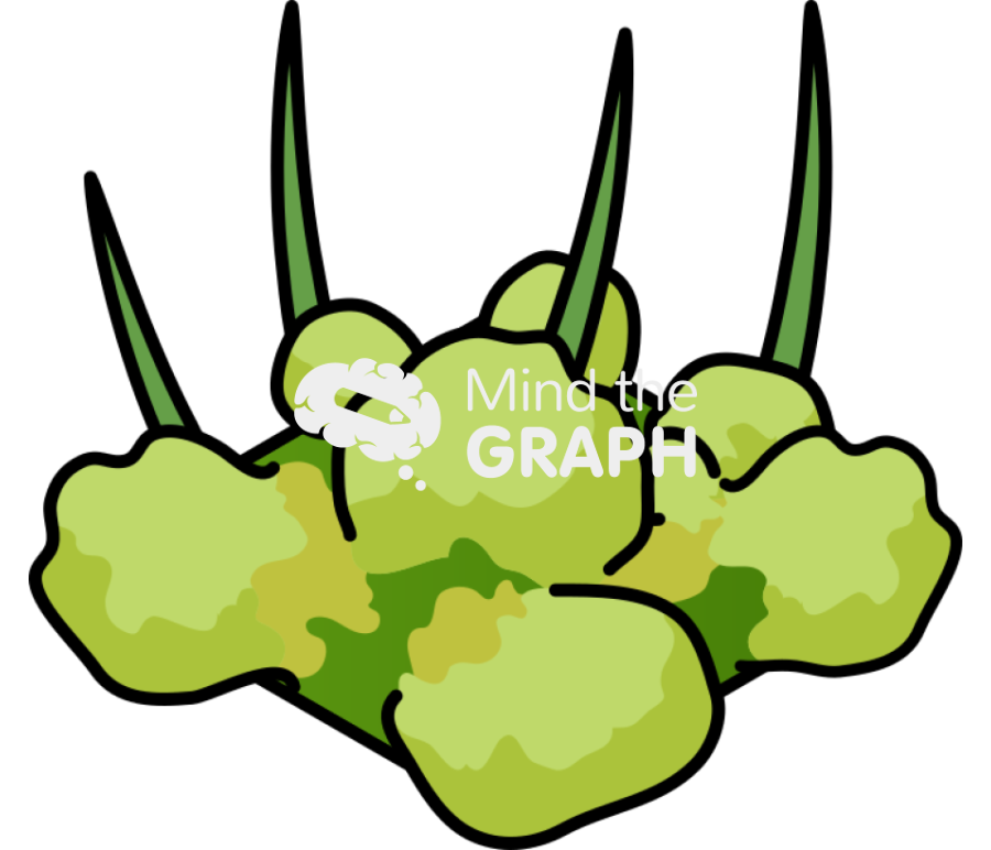 Leaf shoot form 4 Icons, Symbols, Pictures, and Images