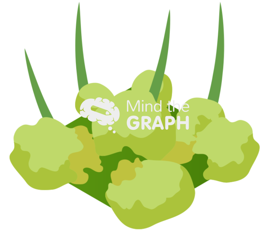 Leaf shoot form 4 Icons, Symbols, Pictures, and Images