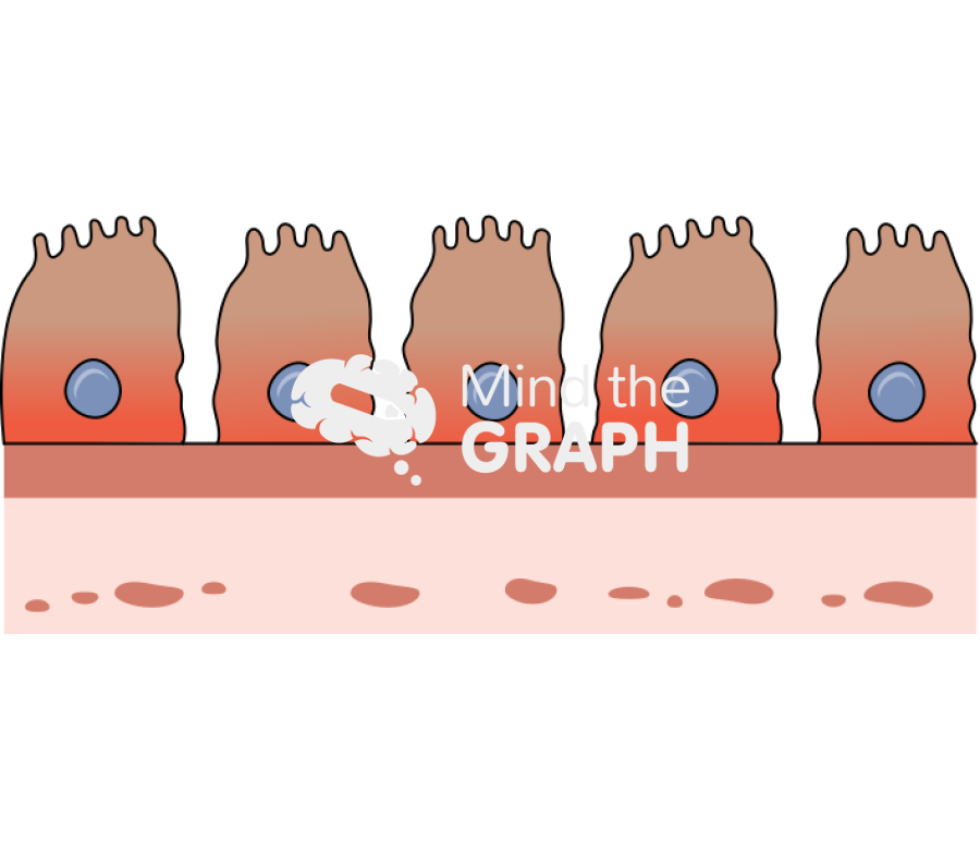 Leaky gut Icons, Symbols, Pictures, and Images