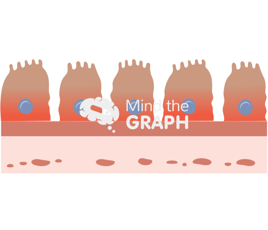 Leaky gut Icons, Symbols, Pictures, and Images