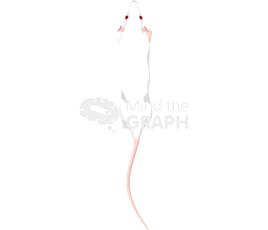 Lean rat walking top Icons, Symbols, Pictures, and Images