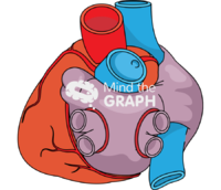 Left atrium pulmonary vein isolation ablation heart Icons, Symbols, Pictures, and Images
