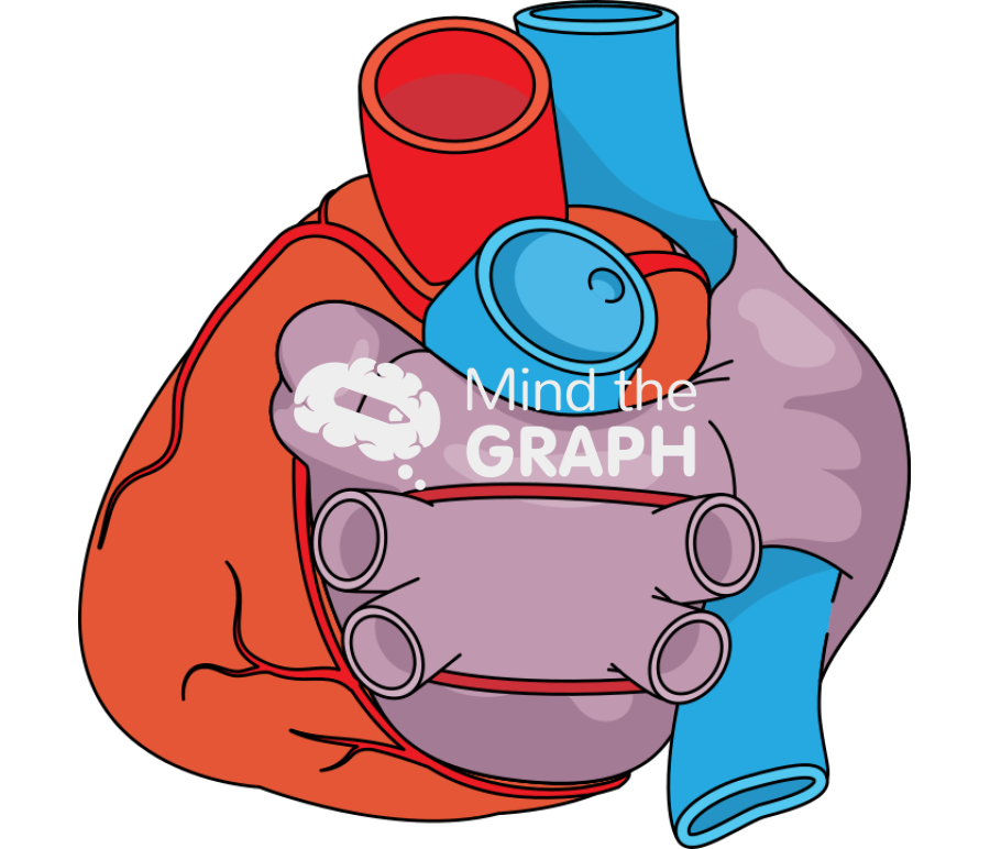 Left atrium single single ablation heart Icons, Symbols, Pictures, and Images