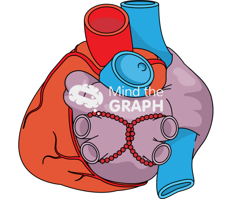 Left atrium touching rings ablation heart Icons, Symbols, Pictures, and Images