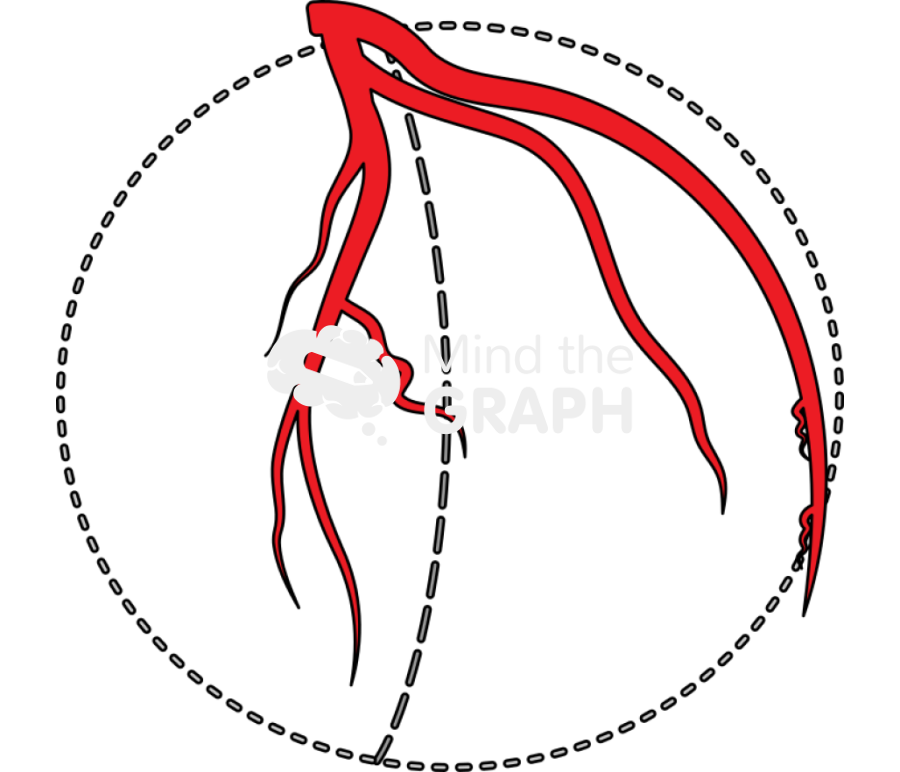 Left coronary artery in lao view Icons, Symbols, Pictures, and Images