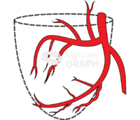 Left coronary artery in rao view Icons, Symbols, Pictures, and Images