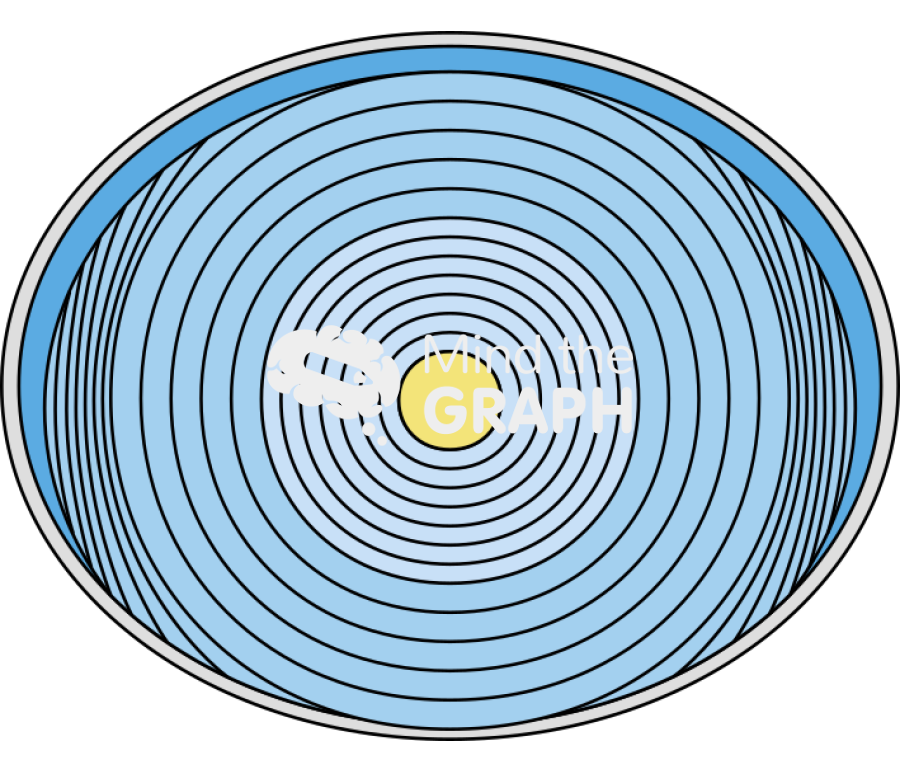 Lens crystalline front cut Icons, Symbols, Pictures, and Images
