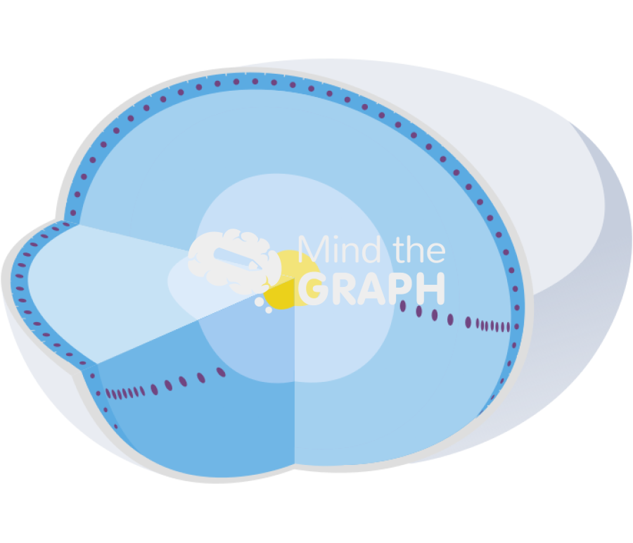 Lens detailed perspective cut Icons, Symbols, Pictures, and Images