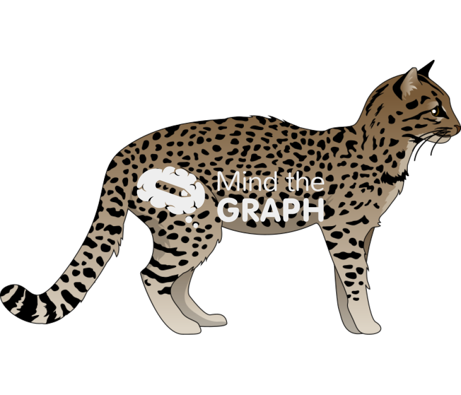 Leopardus geoffroyi Icons, Symbols, Pictures, and Images