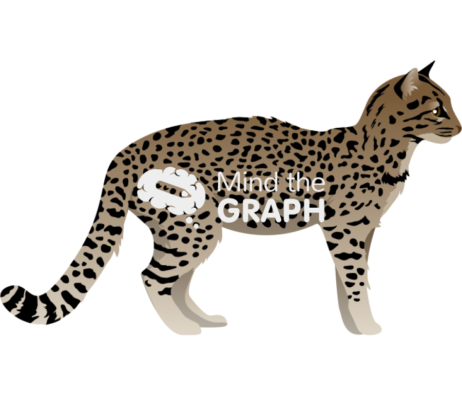 Leopardus geoffroyi Icons, Symbols, Pictures, and Images