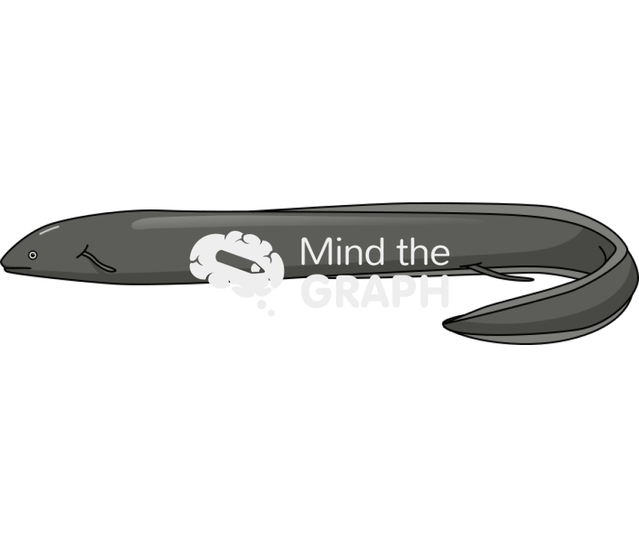 Lepidosiren paradoxa Icons, Symbols, Pictures, and Images