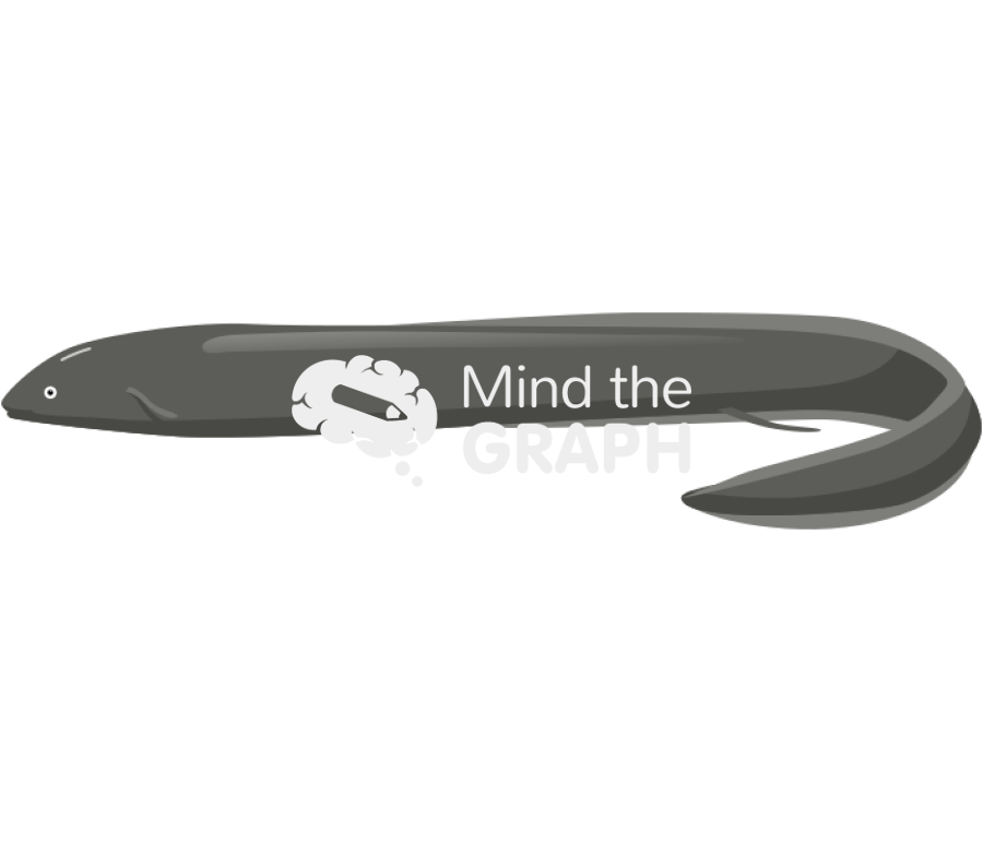 Lepidosiren paradoxa Icons, Symbols, Pictures, and Images