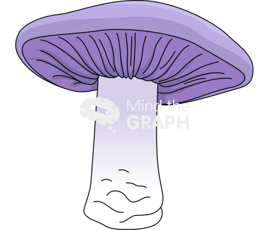 Lepista nuda Icons, Symbols, Pictures, and Images