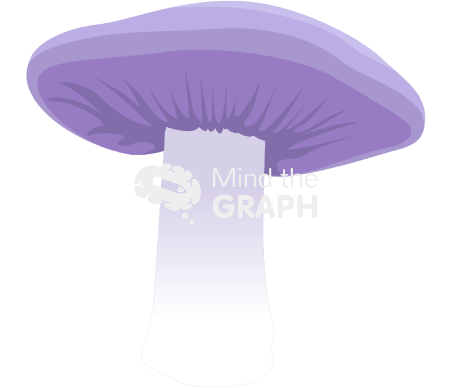 Lepista nuda Icons, Symbols, Pictures, and Images