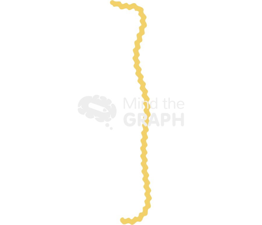 Leptospira 1 Icons, Symbols, Pictures, and Images