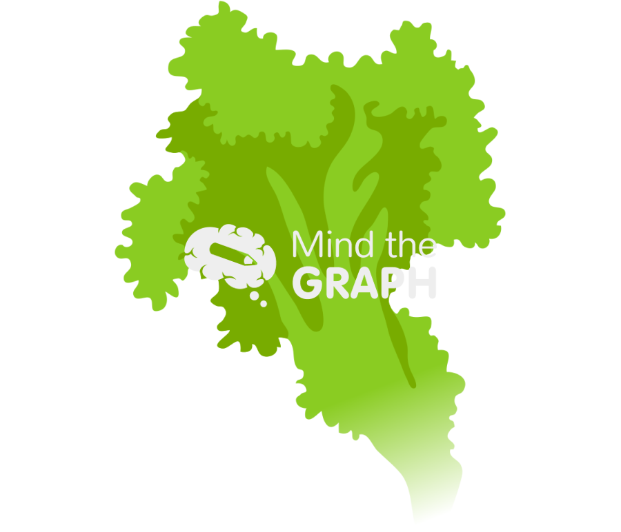 Lettuce leaf Icons, Symbols, Pictures, and Images