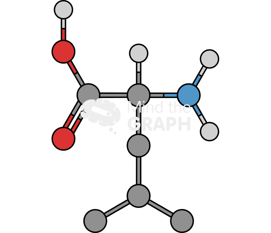 Leucine molecule Icons, Symbols, Pictures, and Images