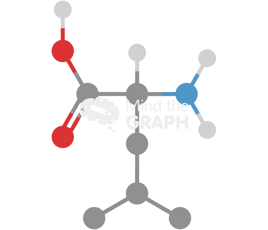 Leucine molecule Icons, Symbols, Pictures, and Images