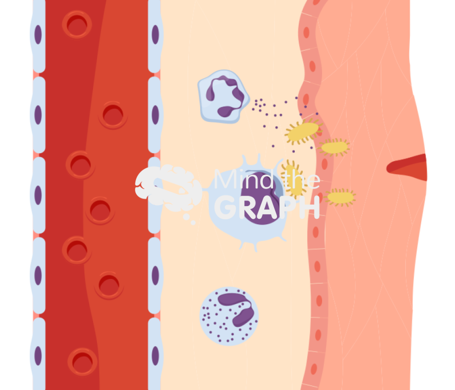 Leukocytes blood pathogens 4 Icons, Symbols, Pictures, and Images