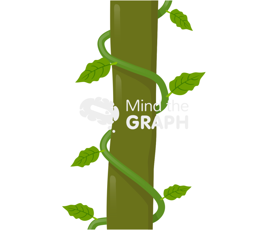 Liana stem scheme plant Icons, Symbols, Pictures, and Images