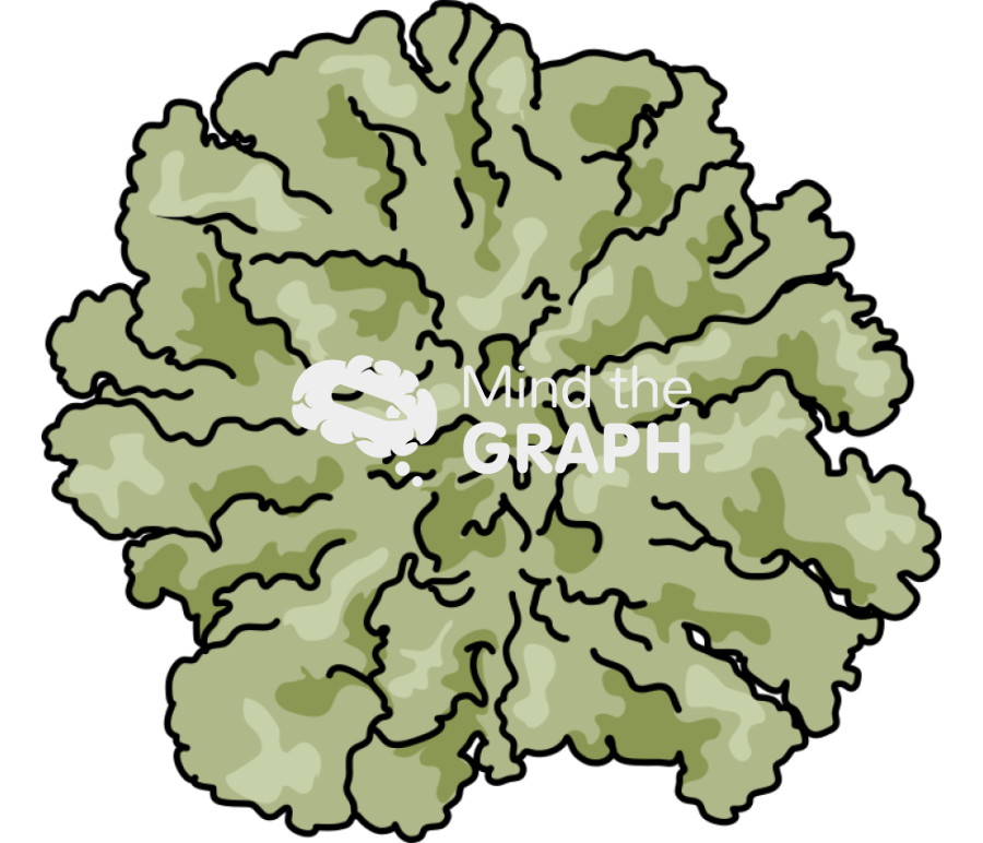 Lichen Icons, Symbols, Pictures, and Images