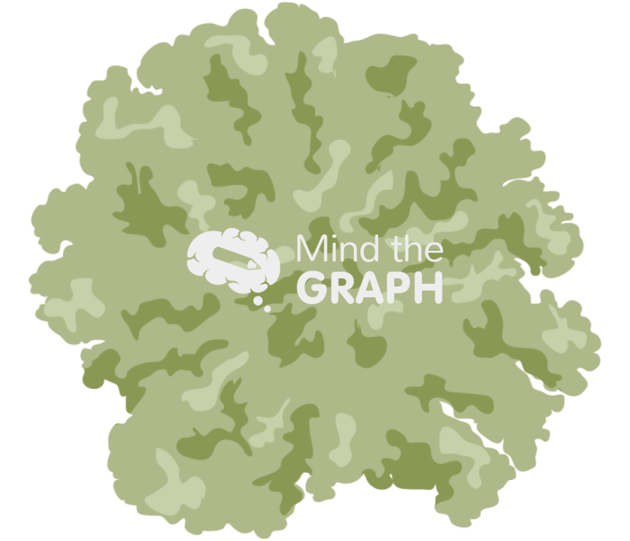 Lichen Icons, Symbols, Pictures, and Images