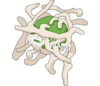 Lichen hyphae Icons, Symbols, Pictures, and Images