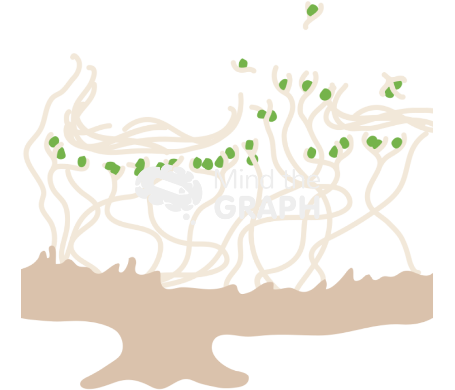 Lichen structure Icons, Symbols, Pictures, and Images