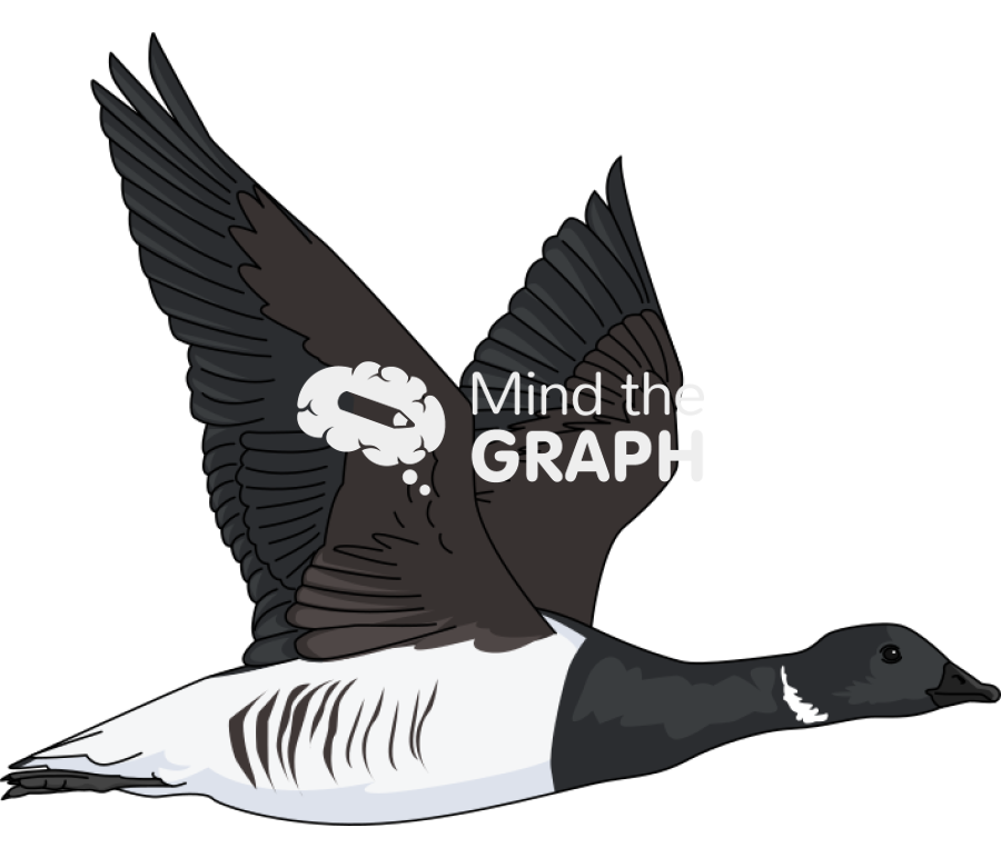Light bellied brent goose fly Icons, Symbols, Pictures, and Images