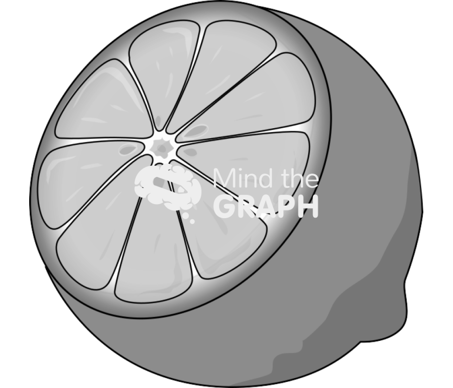 Lime open perspective Icons, Symbols, Pictures, and Images