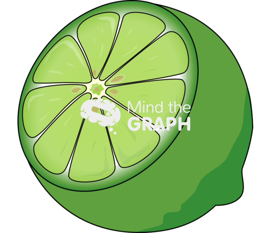 Lime open perspective Icons, Symbols, Pictures, and Images