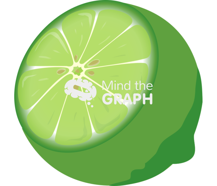 Lime open perspective Icons, Symbols, Pictures, and Images