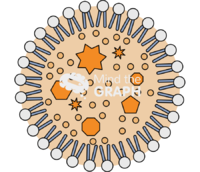 Lipid carriers nanoparticle type1 Icons, Symbols, Pictures, and Images