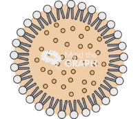 Lipid carriers nanoparticle type2 Icons, Symbols, Pictures, and Images
