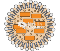 Lipid carriers nanoparticle type3 Icons, Symbols, Pictures, and Images
