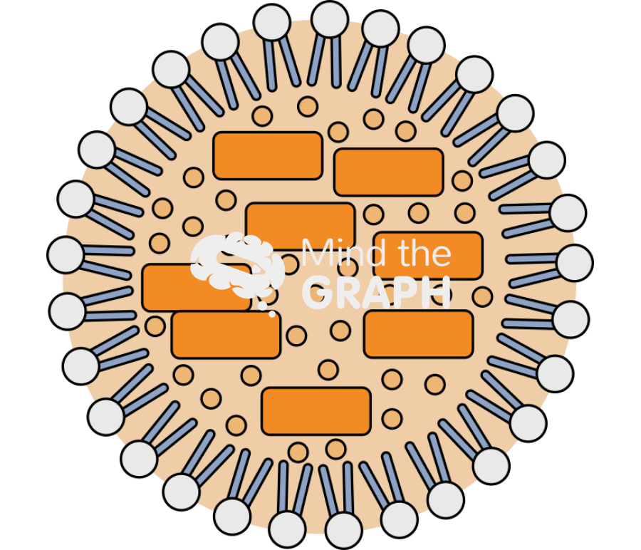 Lipid carriers nanoparticle type3 Icons, Symbols, Pictures, and Images